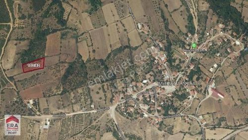 Arsa-Tarla