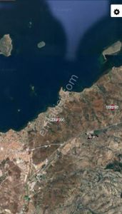Arsa-Zeytinlik