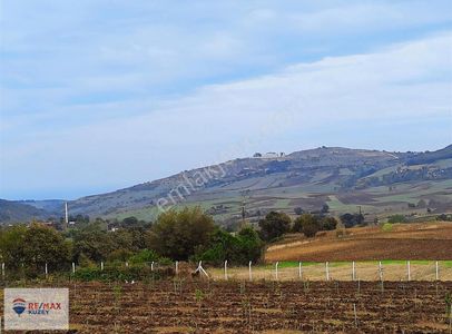 Arsa-Tarla