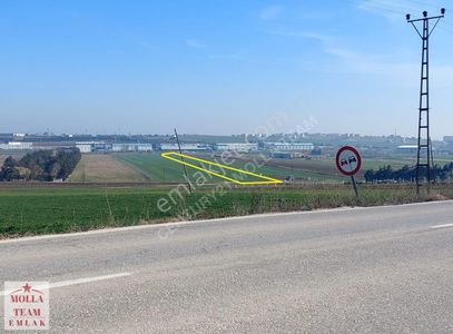 Arsa-Tarla