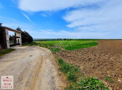Arsa-Tarla