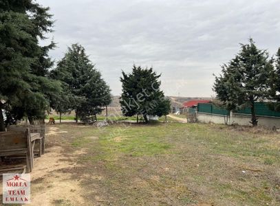 Arsa-Konut İmarlı