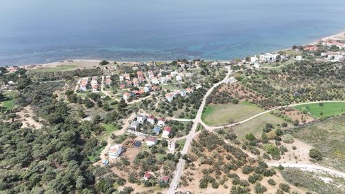 Arsa-Zeytinlik