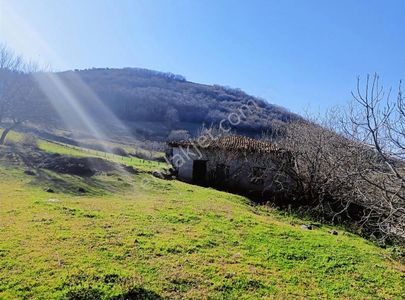 Arsa-Konut İmarlı