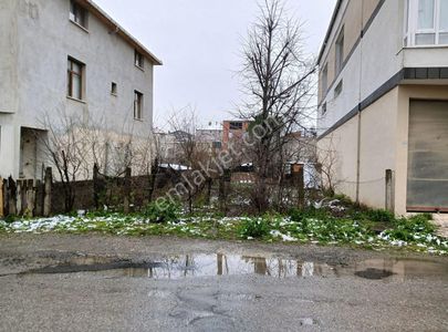 Arsa-Konut İmarlı