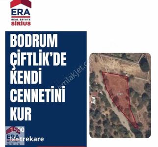 Arsa-Tarla
