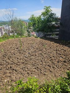 Arsa-Konut İmarlı
