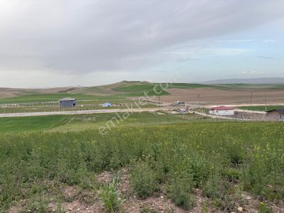 Arsa-Tarla