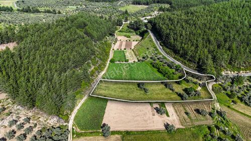 Arsa-Tarla
