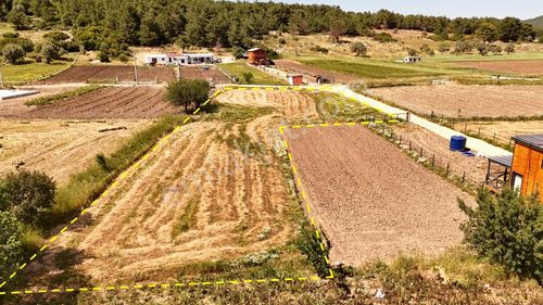 Arsa-Tarla
