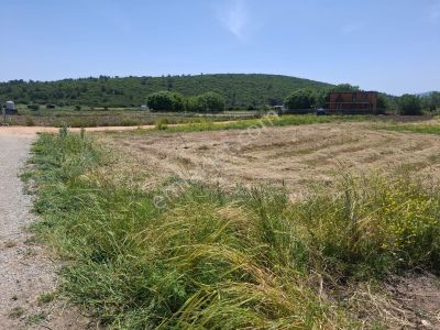 Arsa-Tarla