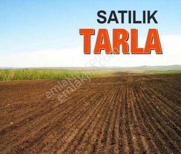 Arsa-Tarla