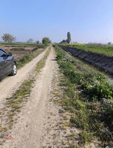 Arsa-Tarla