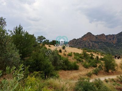 Arsa-Tarla