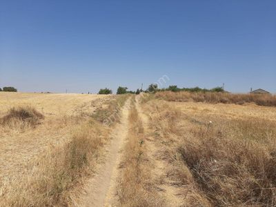 Arsa-Konut İmarlı