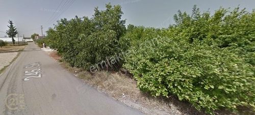 Arsa-Ticari İmarlı