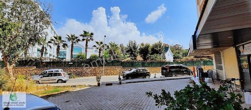 İşyeri-Dükkan & Mağaza