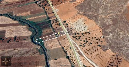 Arsa-Bağ & Bahçe