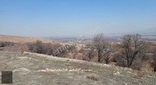 Arsa-Tarla