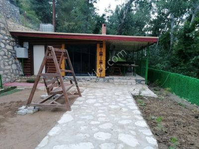 Arsa-Bağ & Bahçe