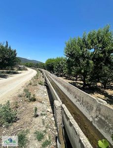 Arsa-Tarla