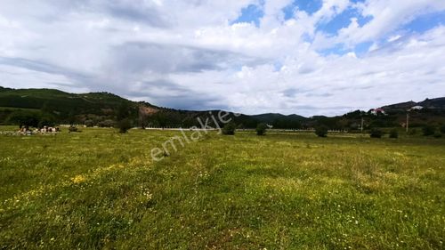 Arsa-Tarla