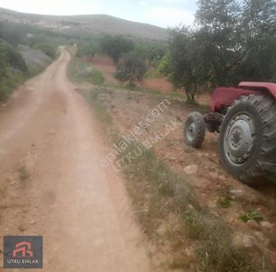 Arsa-Bağ & Bahçe