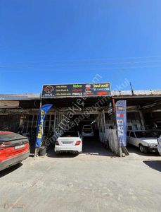 İşyeri-Dükkan & Mağaza