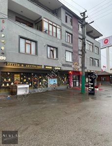 İşyeri-Dükkan & Mağaza