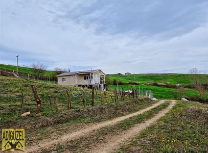 Arsa-Tarla