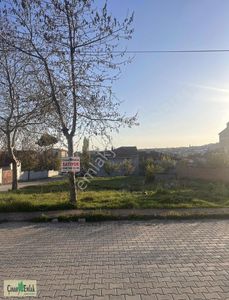 Arsa-Konut İmarlı