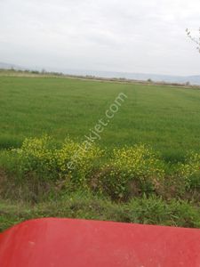 Arsa-Tarla