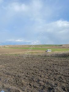 Arsa-Tarla