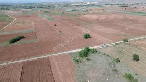 Arsa-Tarla