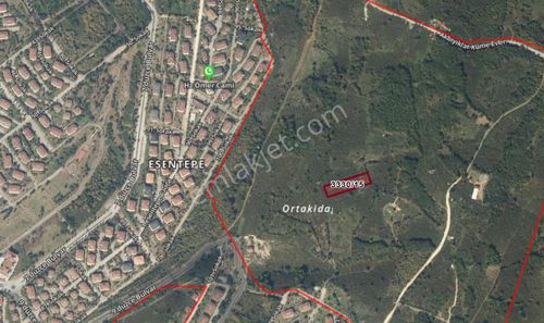 Arsa-Tarla