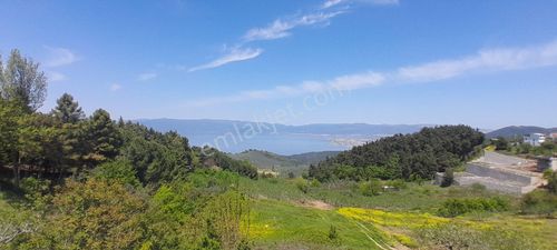 Arsa-Konut İmarlı