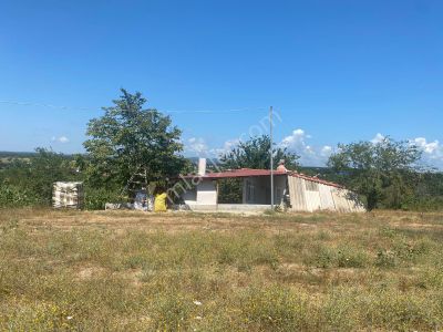 Arsa-Tarla