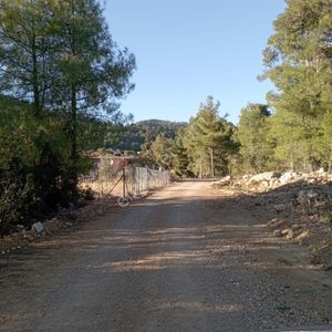 Arsa-Tarla