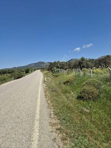 Arsa-Tarla