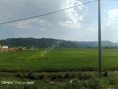 Arsa-Tarla