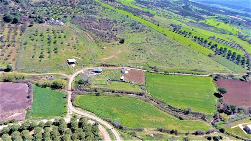 Arsa-Tarla