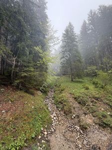 Arsa-Tarla