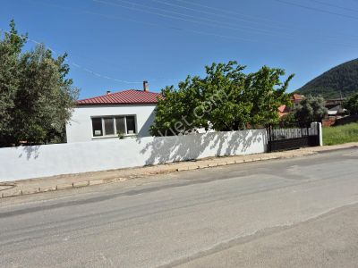 Konut-Müstakil Ev