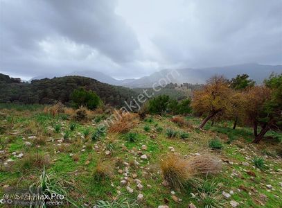 Arsa-Tarla