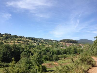 Arsa-Tarla