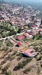 Arsa-Zeytinlik