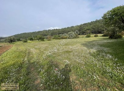 Arsa-Tarla