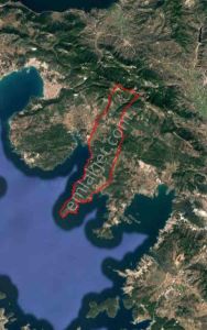 Arsa-Zeytinlik