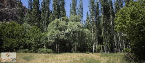 Arsa-Tarla