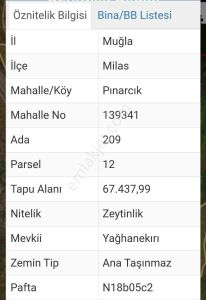 Arsa-Zeytinlik